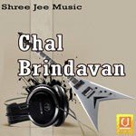 Acharya Piyush Songs MP3 Download